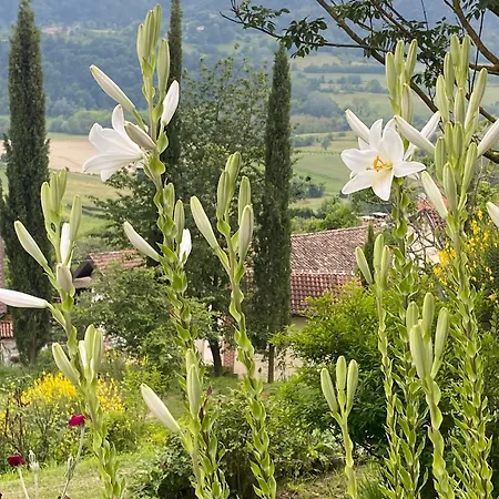 Casa Dei Cipressi